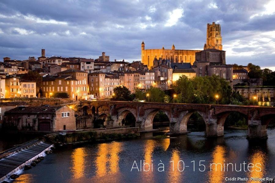 Appartement Spacieux, Wifi ,Cafe A Volonte Blaye-Les-Mines Екстер'єр фото